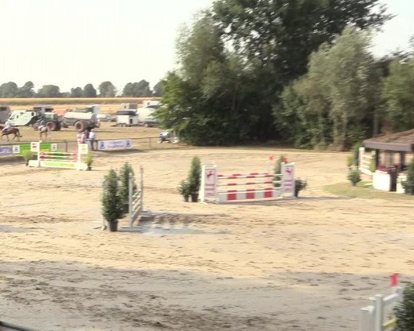 Reitturnier Datteln 2018