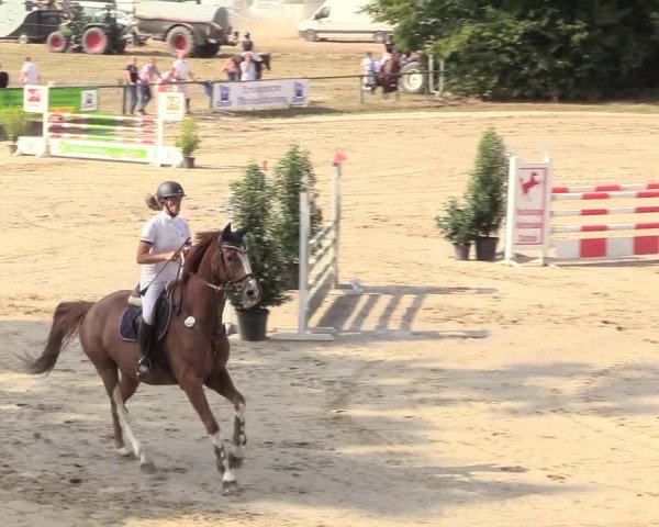 Reitturnier Datteln 2018