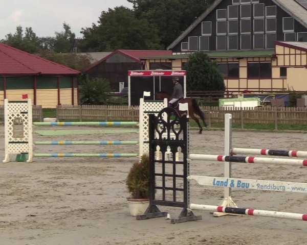 Reitturnier Schülp / Rendsburg 2018