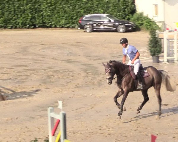 Reitturnier Datteln 2018