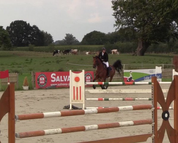 Reitturnier Schülp / Rendsburg 2018