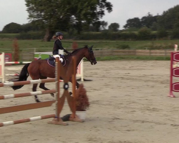 Reitturnier Schülp / Rendsburg 2018