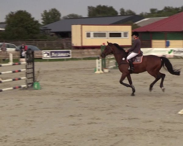 Reitturnier Schülp / Rendsburg 2018