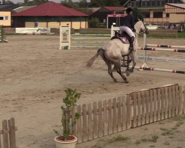 Reitturnier Schülp / Rendsburg 2018