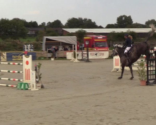 Reitturnier Schülp / Rendsburg 2018