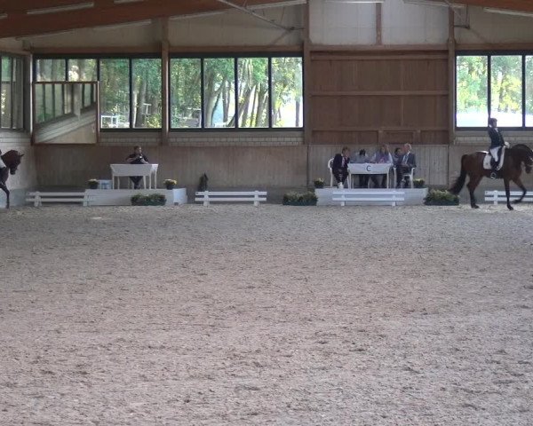 Bergisch Classics - Hebborner Hof 2018