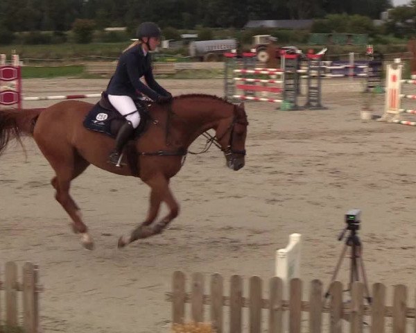 Reitturnier Schülp / Rendsburg 2018