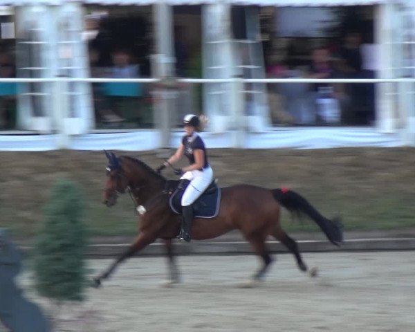 Bergisch Classics - Hebborner Hof 2018