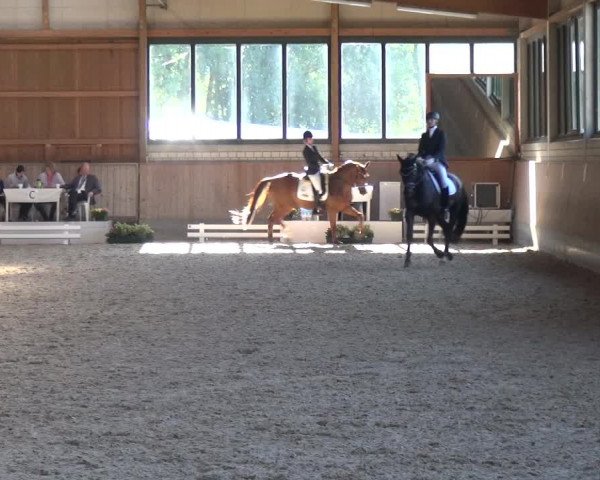 Bergisch Classics - Hebborner Hof 2018