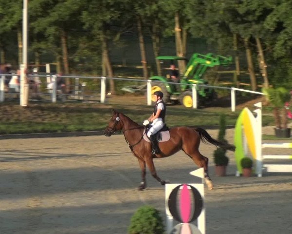 Bergisch Classics - Hebborner Hof 2018