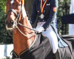 dressage horse Lousiana K (Hanoverian, 2001, from Londonderry)
