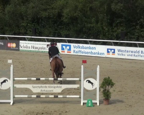 Reitturnier Hachenburg 2018