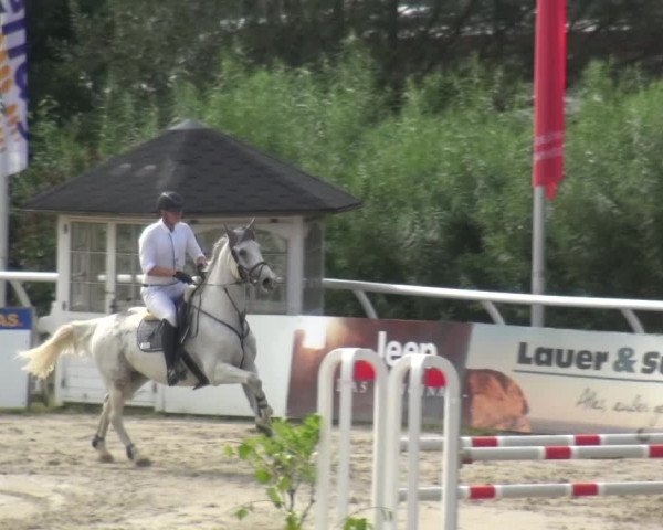Reitturnier Hachenburg 2018