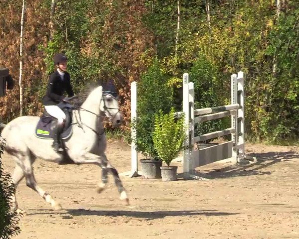 Reitturnier Datteln 2018