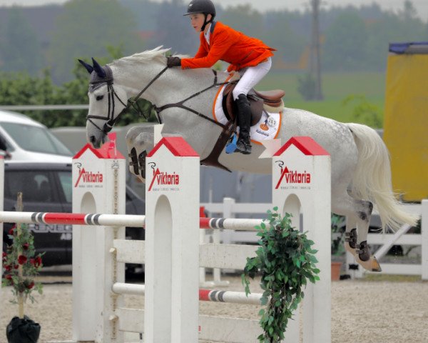 jumper Born For You (KWPN (Royal Dutch Sporthorse), 2004, from Berlin)