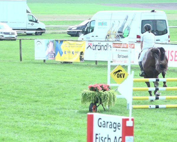 Springkonkurrenz Aadorf 2018