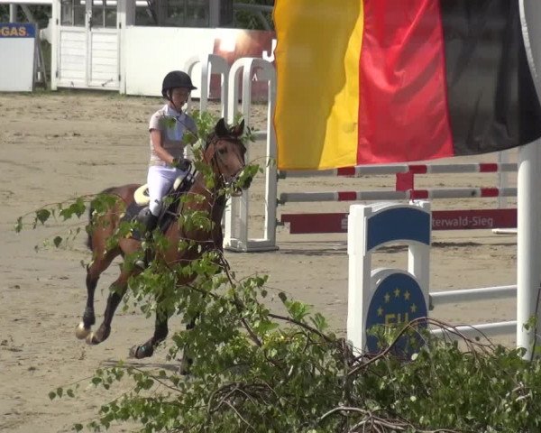 Reitturnier Hachenburg 2018