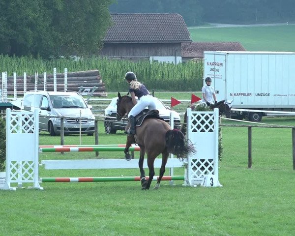Springkonkurrenz Aadorf 2018