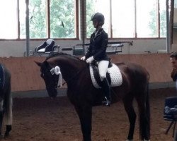 dressage horse Fleure d'Amour (Oldenburg, 2009, from Florencio I)
