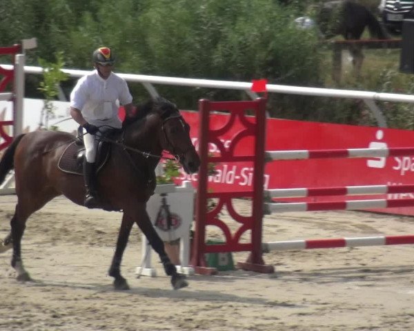 Reitturnier Hachenburg 2018