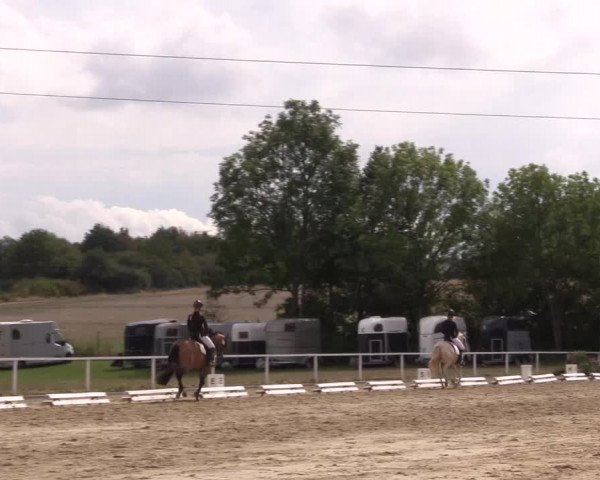 Reitturnier Menden 2018