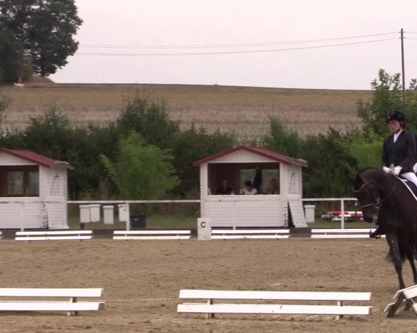 Reitturnier Menden 2018
