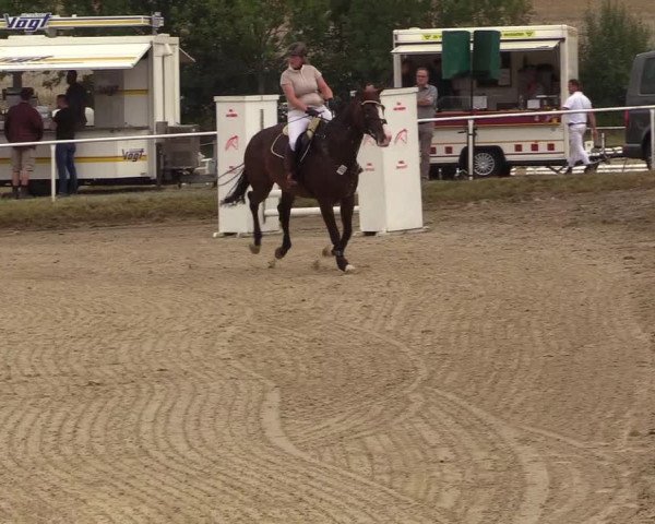Reitturnier Menden 2018