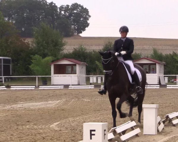 Reitturnier Menden 2018