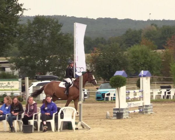 Reitturnier Menden 2018