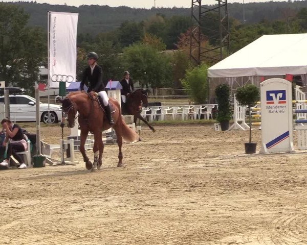 Reitturnier Menden 2018