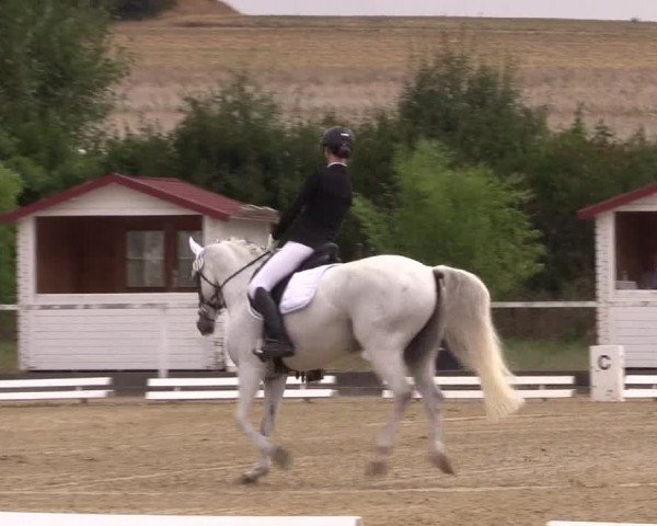 Reitturnier Menden 2018