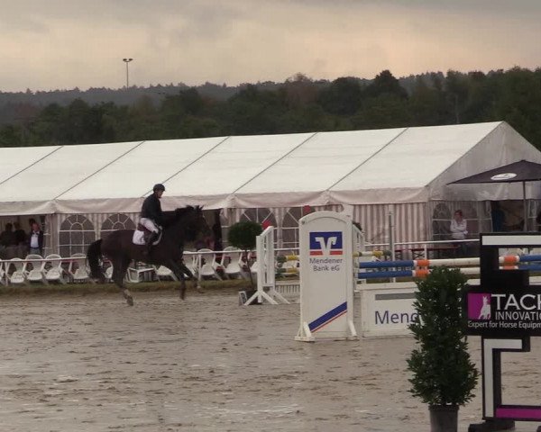 Reitturnier Menden 2018