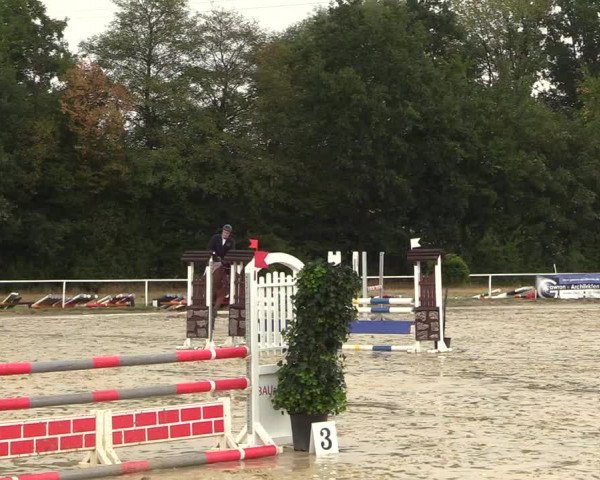 Reitturnier Menden 2018