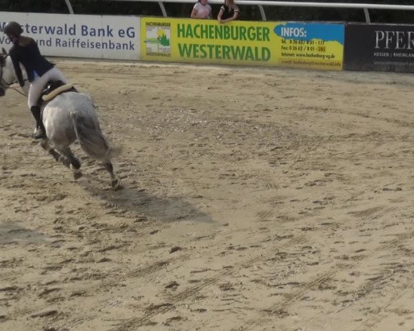 Reitturnier Hachenburg 2018