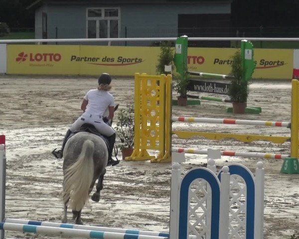 Reitturnier Hachenburg 2018