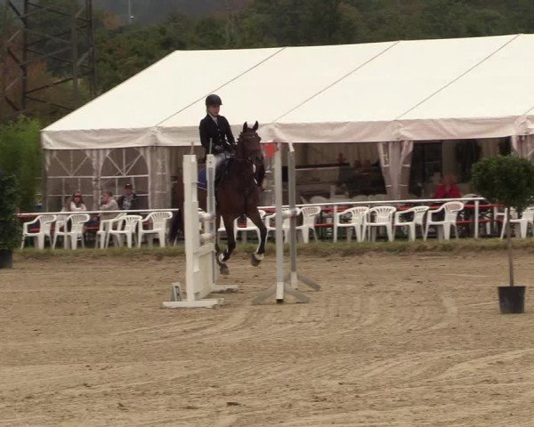 Reitturnier Menden 2018