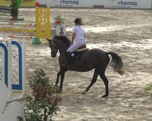 Reitturnier Hachenburg 2018
