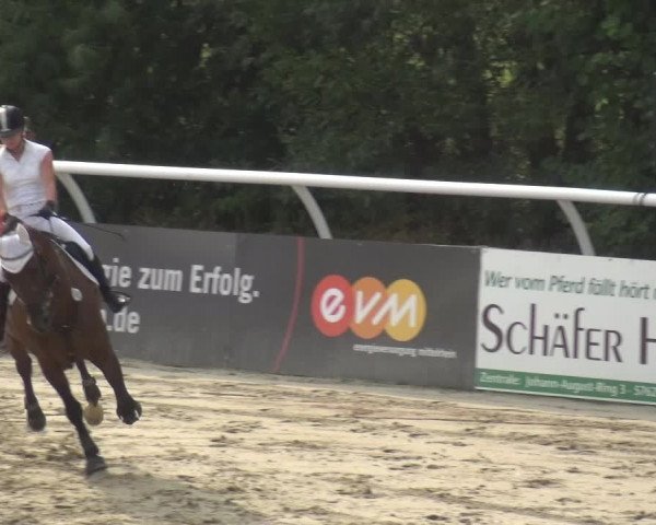 Reitturnier Hachenburg 2018