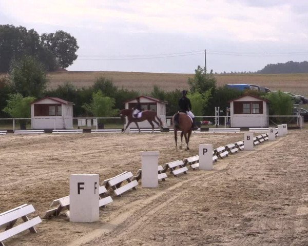 Reitturnier Menden 2018