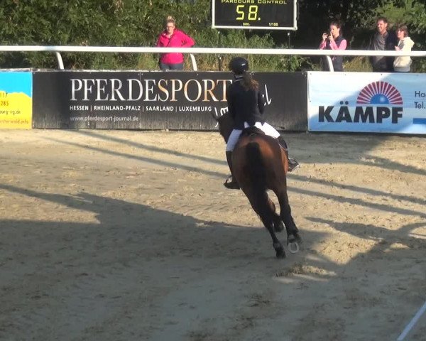 Reitturnier Hachenburg 2018