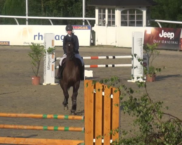 Reitturnier Hachenburg 2018