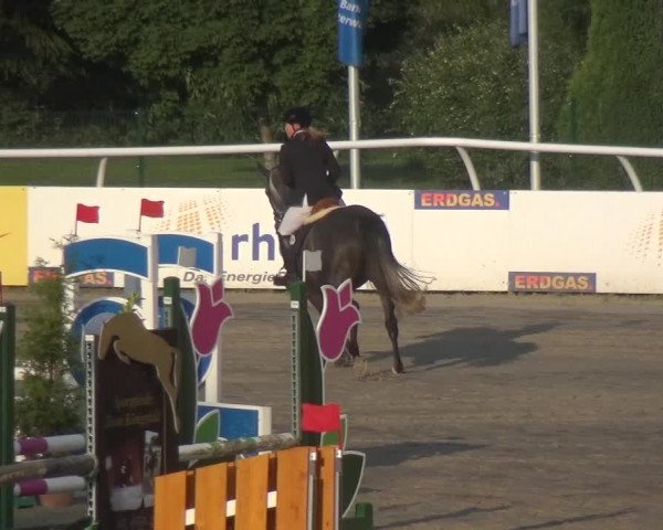 Reitturnier Hachenburg 2018