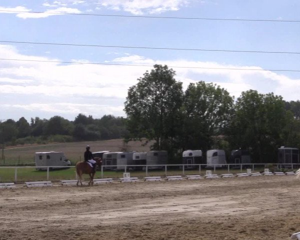 Reitturnier Menden 2018
