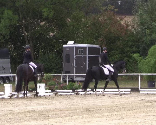 Reitturnier Menden 2018