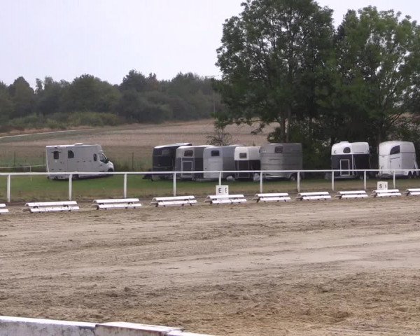 Reitturnier Menden 2018