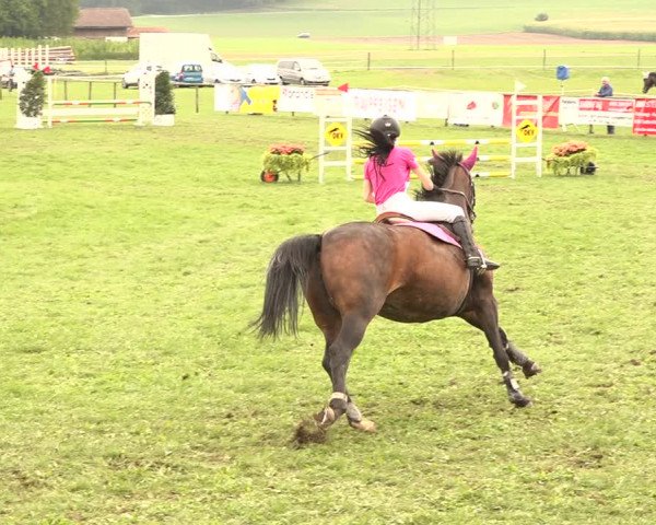 Springkonkurrenz Aadorf 2018