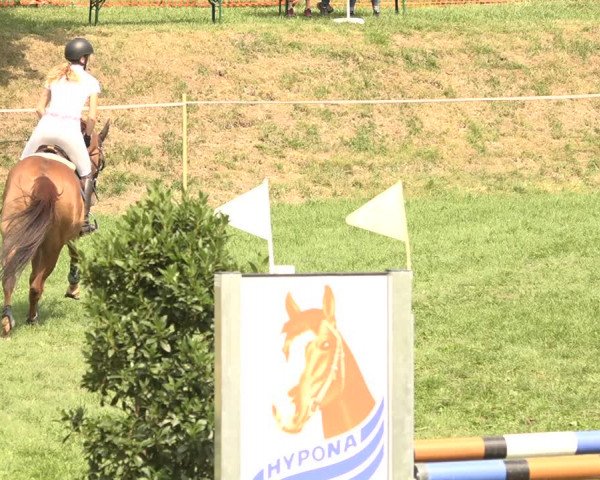 Springkonkurrenz Aadorf 2018