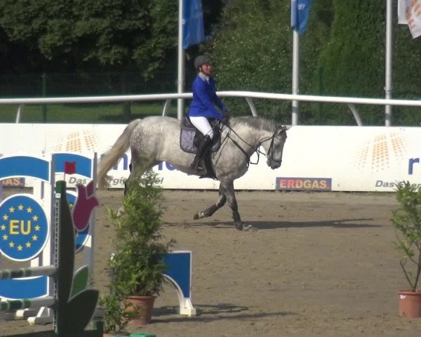 Reitturnier Hachenburg 2018