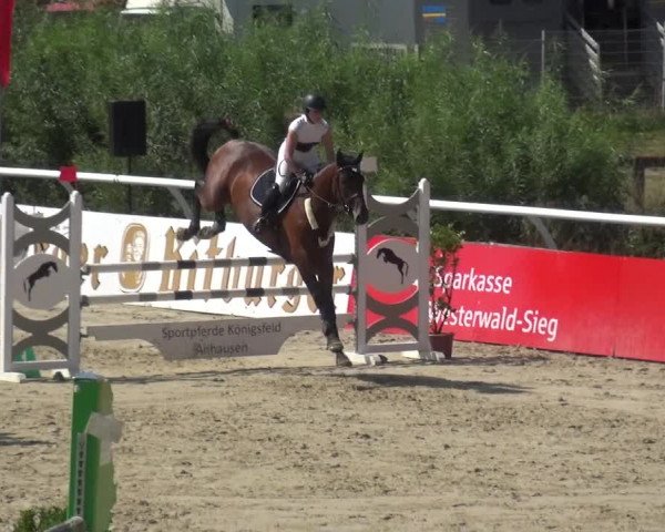 Reitturnier Hachenburg 2018