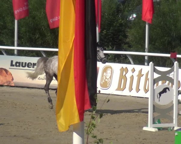 Reitturnier Hachenburg 2018